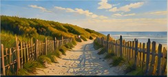 Cape Cod beach dunes